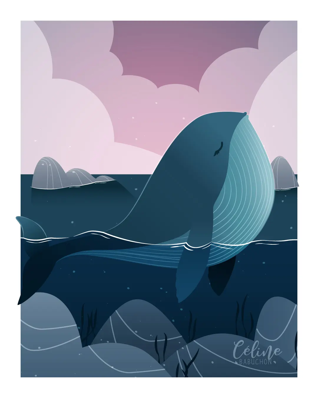 Illustration • Baleine